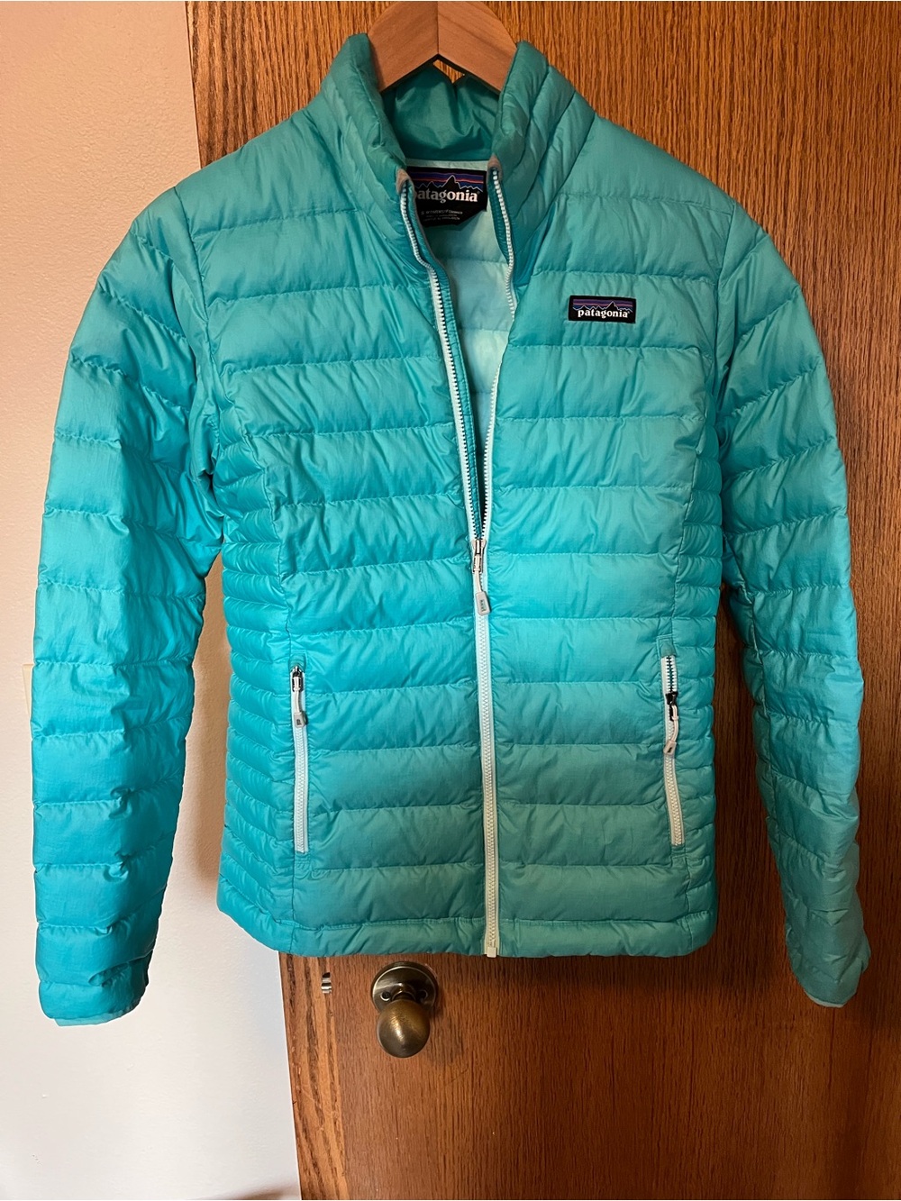 Patagonia Womens Teal Aqua Lightweight Puff Jacket